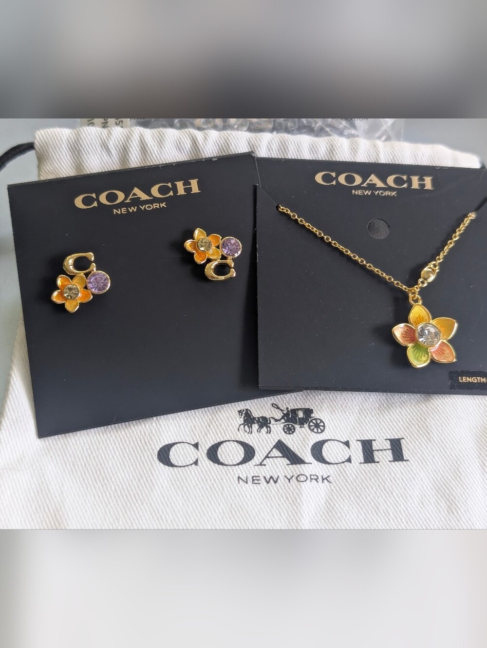 Coach Set Transparent Wildflower Necklace & Signature 'C' Cluster Studs earrings